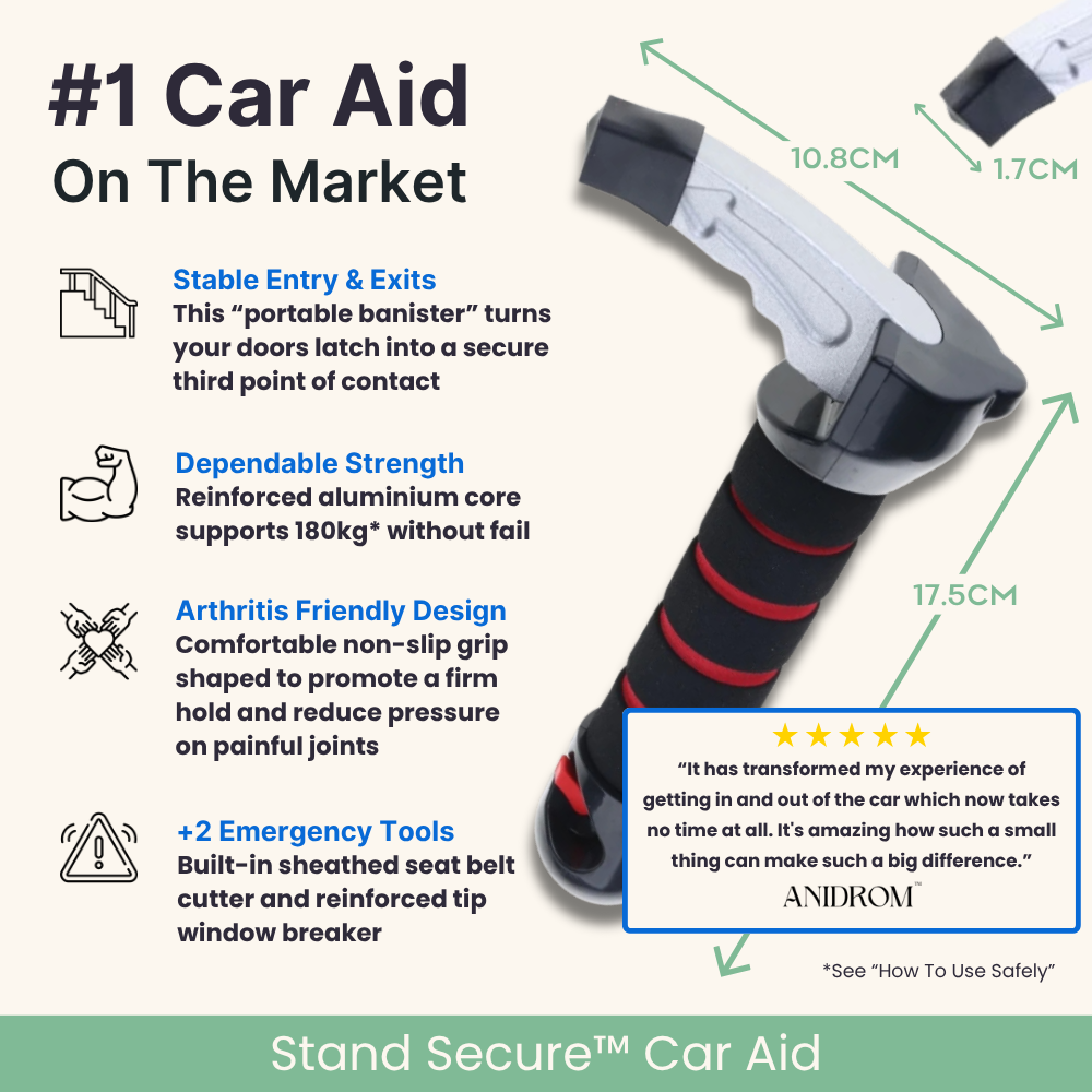 Stand Secure™ Car Aid